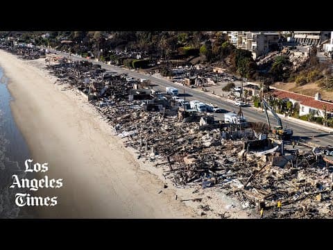 Drone video of the Palisades fire devastation (LA Times)