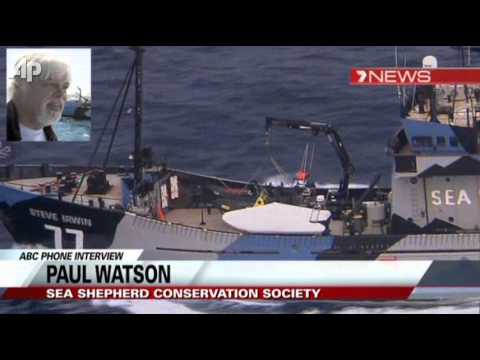 Whaling Opponents Board Japanese Ship