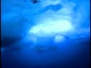 Arctic 2002: Breathtaking Under-ice Diving Photography
