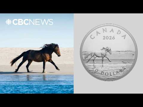 Why a Sable Island horse is on this new Canadian coin