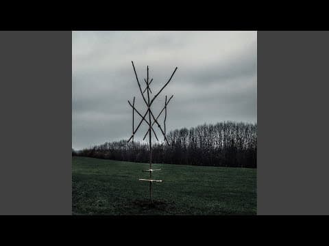 Wiegedood — Belgian black metal