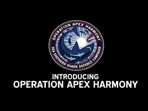 Operation Apex Harmony: Introducing Operation Apex Harmony