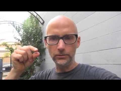 Moby Answers Your Questions: Talking animals