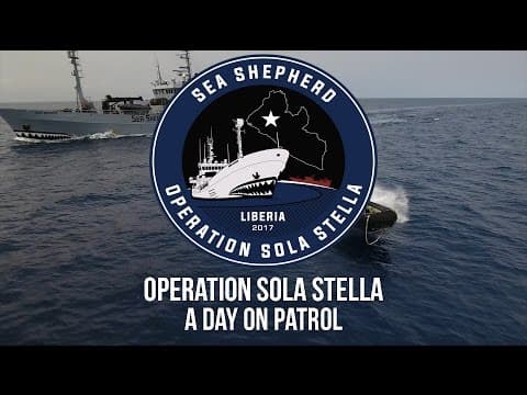 Operation Sola Stella: A Day on Patrol