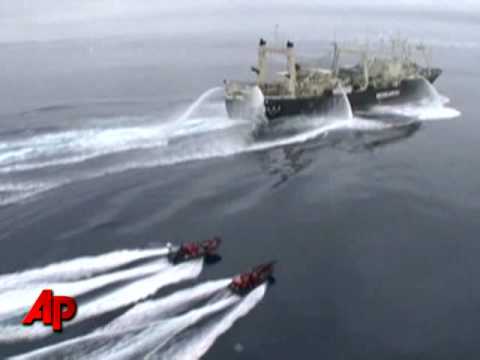 Raw Video: Whalers 'Launch Attack' in Antarctic