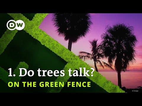 How the Wood Wide Web Helps Trees Communicate