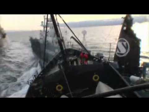 Confrontation with Japanese whaling fleet