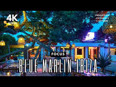 Focus on: BLUE MARLIN IBIZA