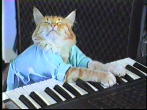 Keyboard Cat original clip (1984)