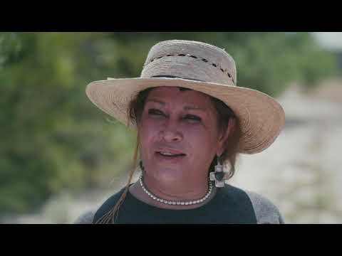 Peyote: The Divine Messenger - Hamilton's Pharmacopeia