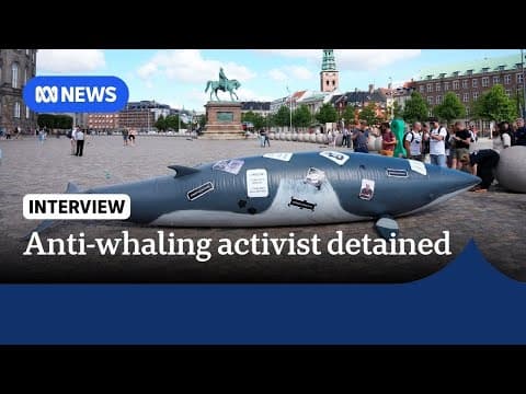 Anti-whaling activist Paul Watson to stay in Greenland detention | The World