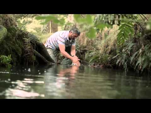 STIHL SHOP - LOVE YOUR LAND