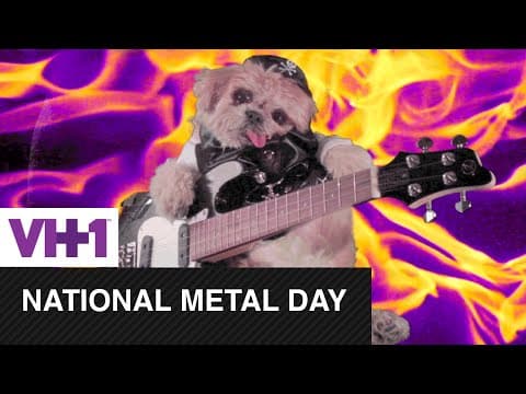 Marnie the Dog Rocks Out With Her Tongue Out