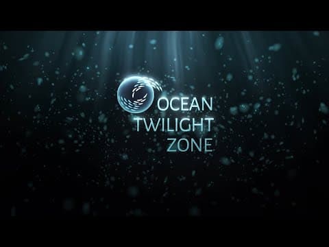 Updated Mesobot Provides Stunning Twilight Zone Ocean Footage | Nautilus Live
