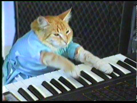 Play Him Off, Keyboard Cat