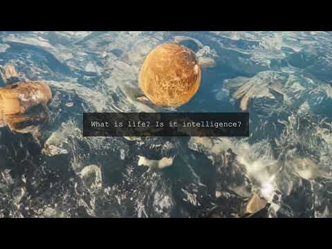 Love Tomorrow Conference - Once Upon AI - Teaser