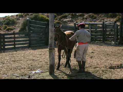 El Gaucho : DOMADOR full version