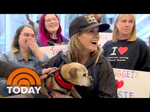 Dog Reunited After Years
