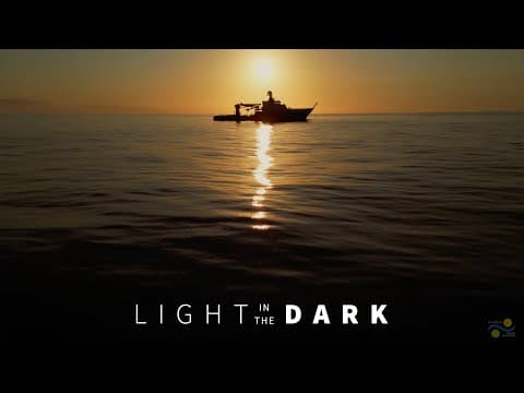 Light in the Dark