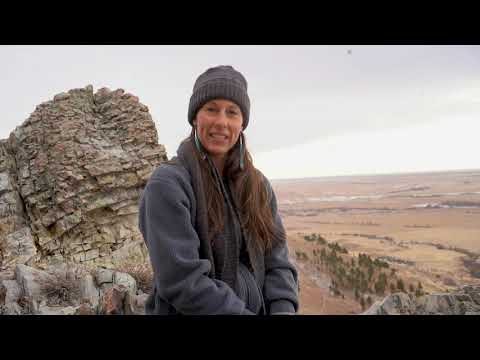Yvette Running Horse Collin : aspects of Lakota understanding regarding Sundwakan, the Horse Nation.