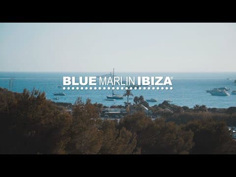 BLUE MARLIN IBIZA — YOUR SCENE