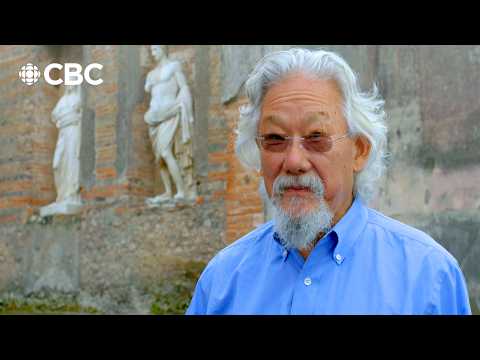 Life in Pompeii