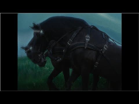 Elias x Dorien De Kesel x Wannes Vanspauwen & Pol De Plecker - The End (Official Video)