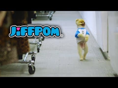 Jiffpom Sizzle Reel: Best of Jiffpom