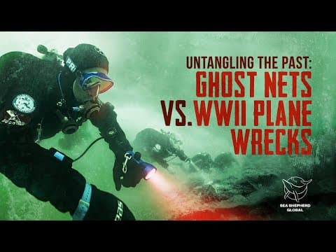 Untangling the Past: Ghost Nets vs. WWII Plane Wrecks