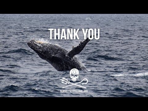 Thank You from Sea Shepherd Global