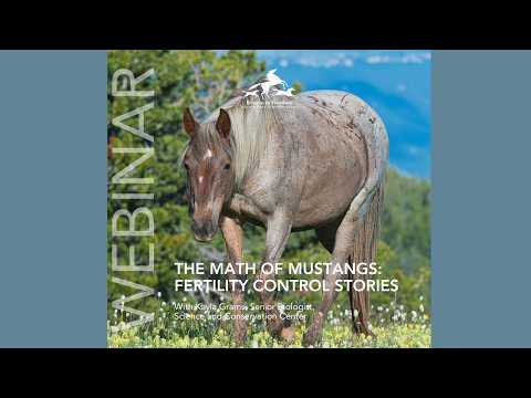 RTF "Math of Mustangs" webinar