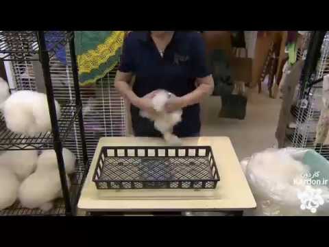 alpaca yarn نخ کاموا