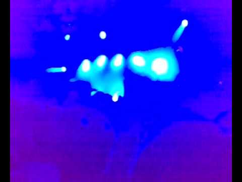 10 Days Off 2009 — Vooruit
