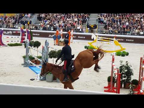 Saut Hermès grand prix 2019