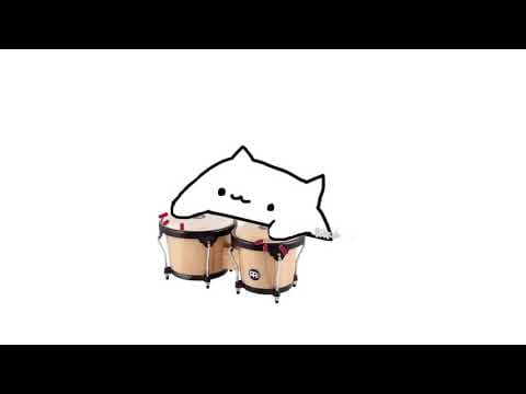The Original Bongo Cat
