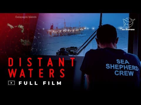 Distant Waters | Full film | Sea Shepherd Global