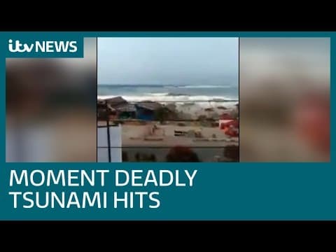 The 2004 Indian Ocean tsunami