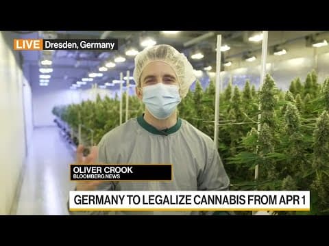 Germany to Partially Legalise Cannabis from April 1