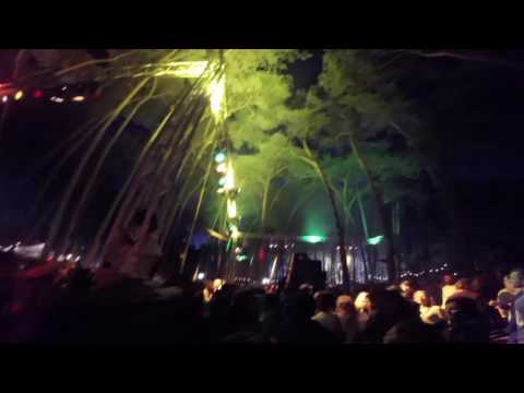 18 Inch Corner Reggae Geel 2016