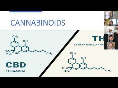 Mayo Clinic: introduction to medical cannabis