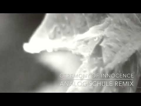 Moby - Ceremony of Innocence (Analog Schule Remix)