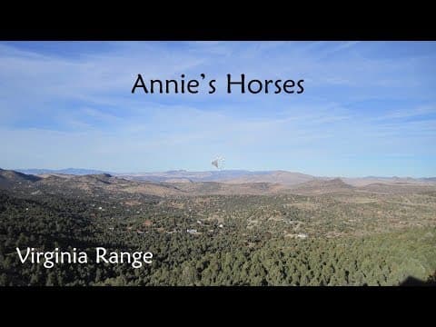 Annie's Horses