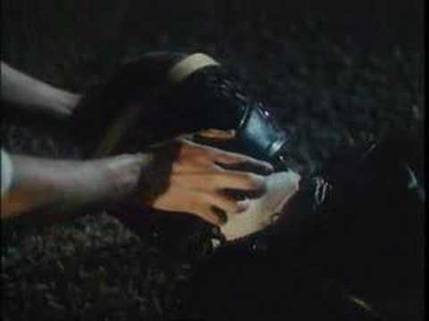 Hawaii-Bombay (Mecano) — Hawaii-Bombay (Mecano)