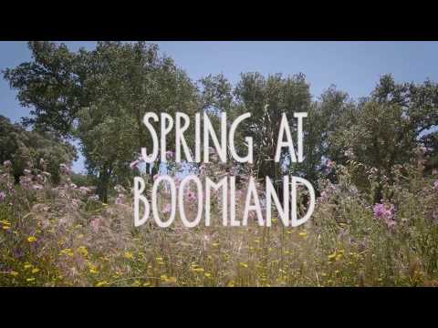 Spring at Boomland (2020)
