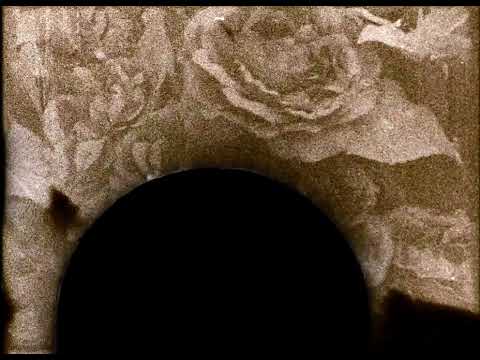 Bert Dockx - Pit (audio)