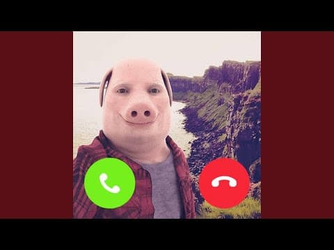 John Pork phonk