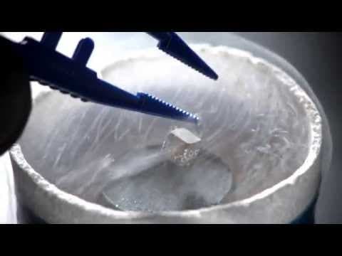 The Meissner effect, demonstrated