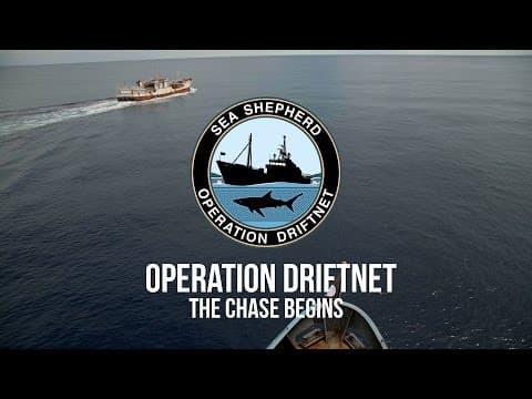 Operation Driftnet: The Chase Begins