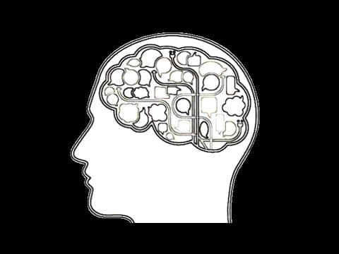 Noam Chomsky — Universal Grammar