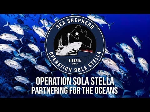 Partnering for the Oceans